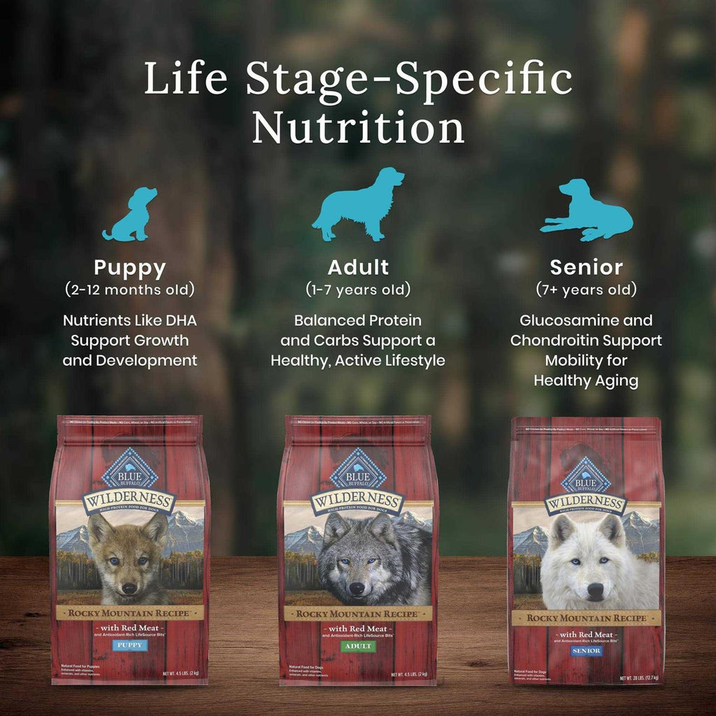 High Protein Natural Senior Dry Dog Food O170186