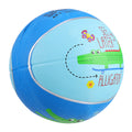 Inflatable Ball Game B338
