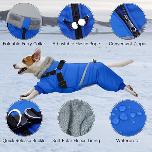 Black Dog Winter Jacket with Harness P221