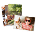 Glossy Standard Size 4x6 Photo Prints H36698