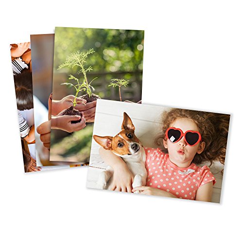 Glossy Standard Size 4x6 Photo Prints H36698