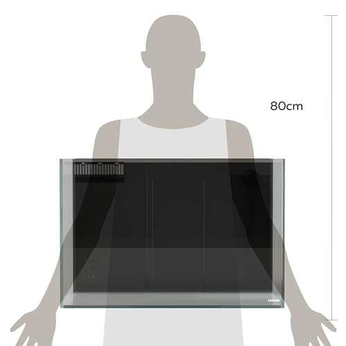 26.23 Gallon Rimless Low Iron Glass Aquarium Tank with Rear Filtration I63259