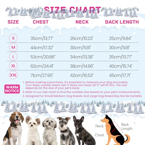 Black Dog Winter Jacket with Harness P221