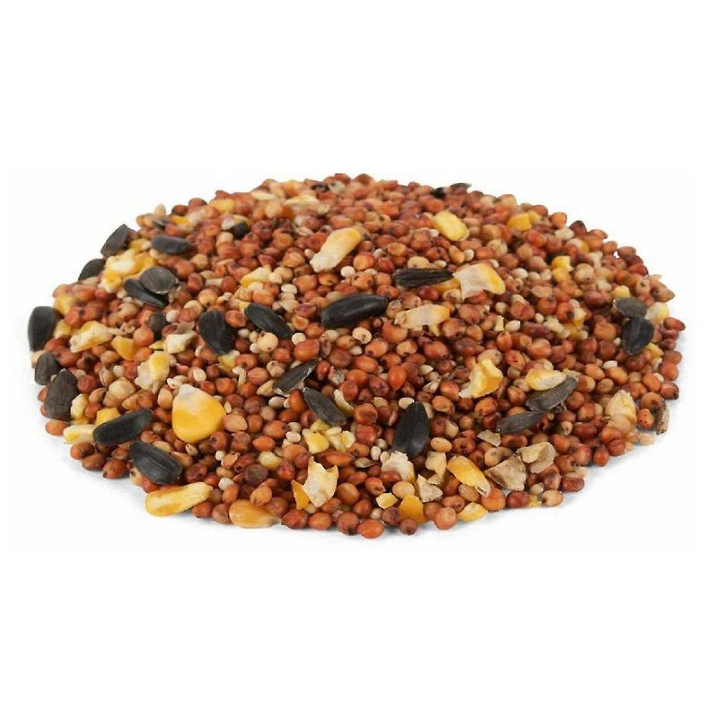 20 Pounds Wild Bird Seed Mix V796