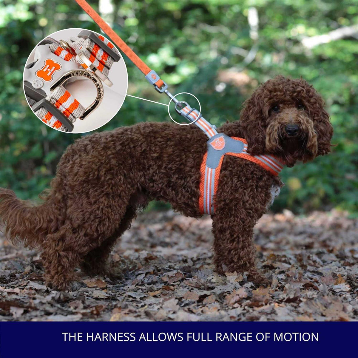 Dog Harness C982627