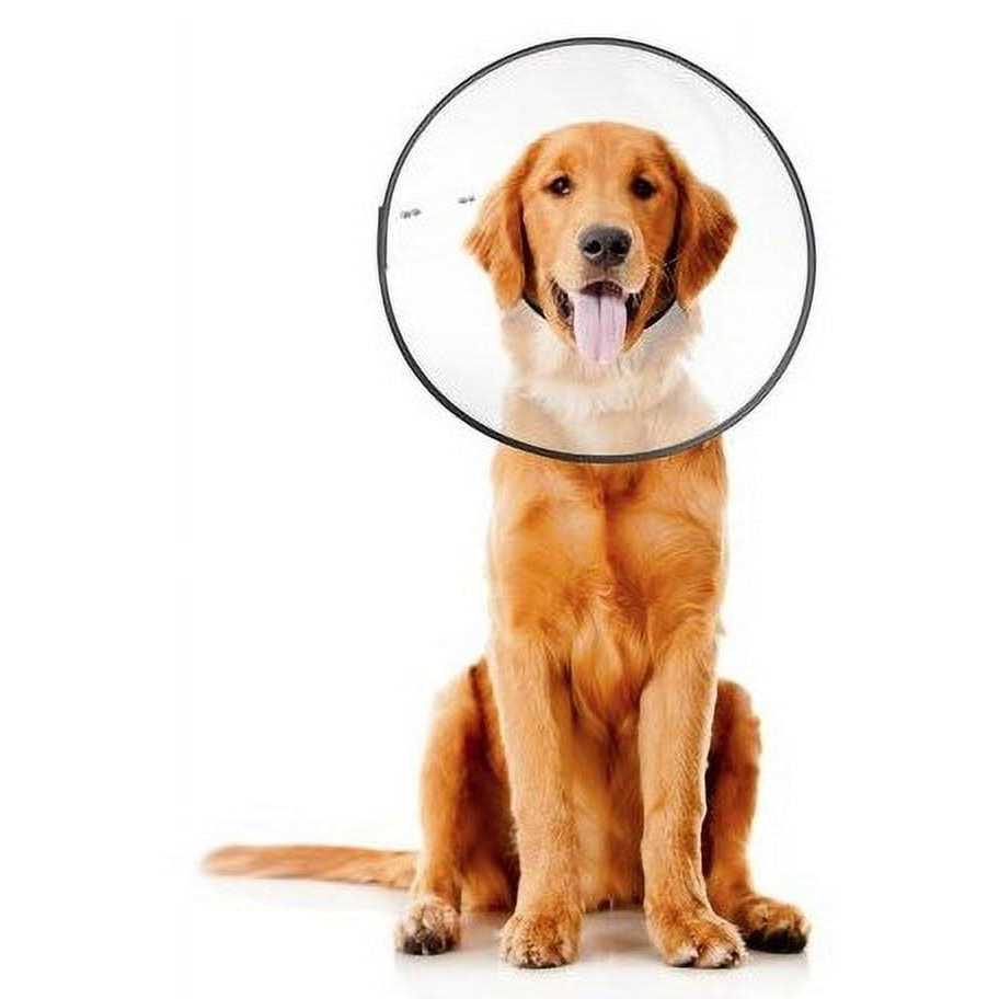 Clear Recovery Collar L736529
