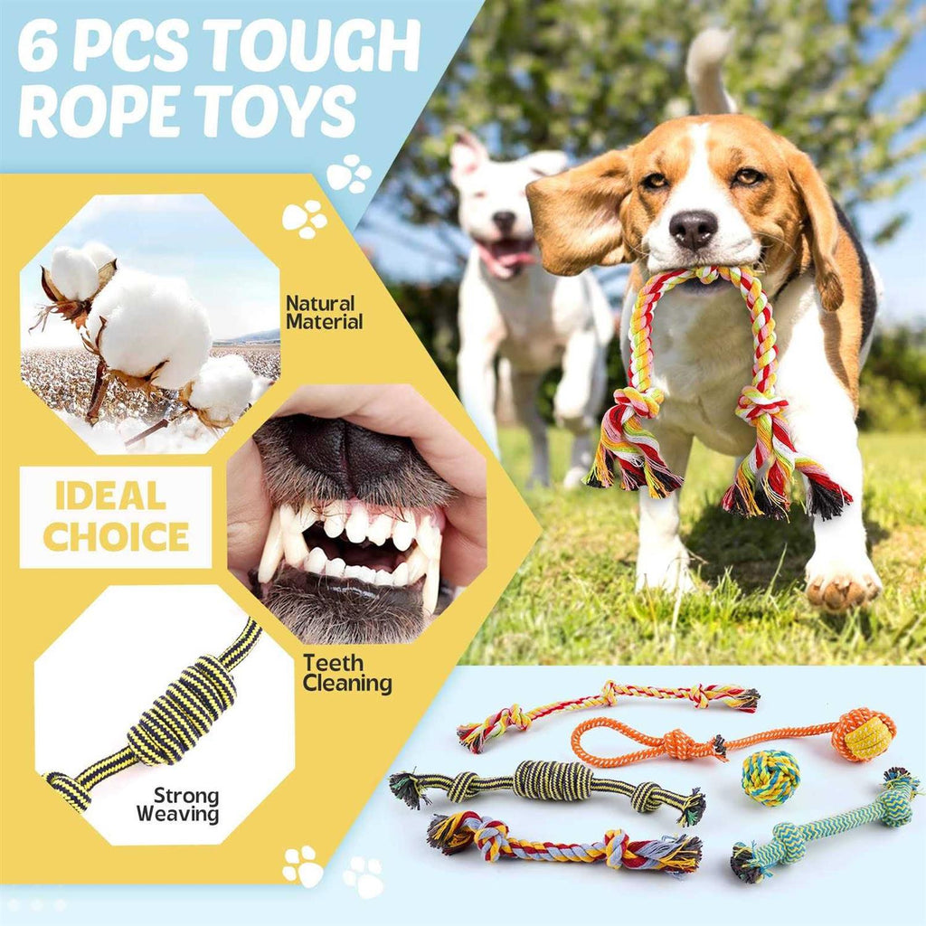 21 Pack Small Dog Chew Toys with Rope Toys R453350