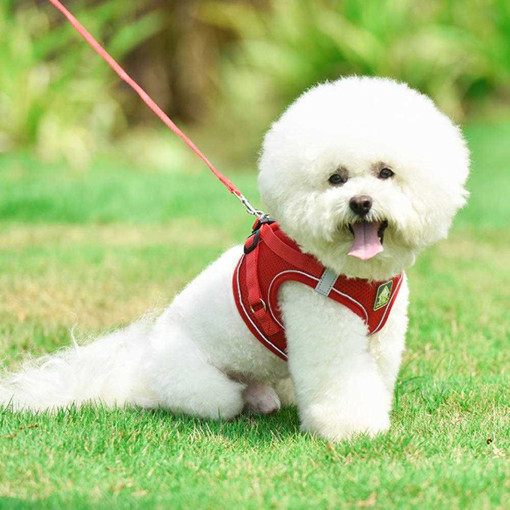 No-Pull Soft Mesh Reflective Adjustable Dog Harness and Leash Set S642791