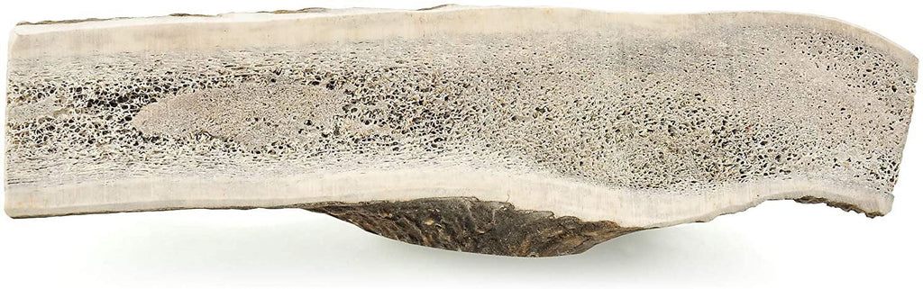 Elk Antler Dog Chews Z681