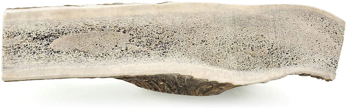 Elk Antler Dog Chews Z681