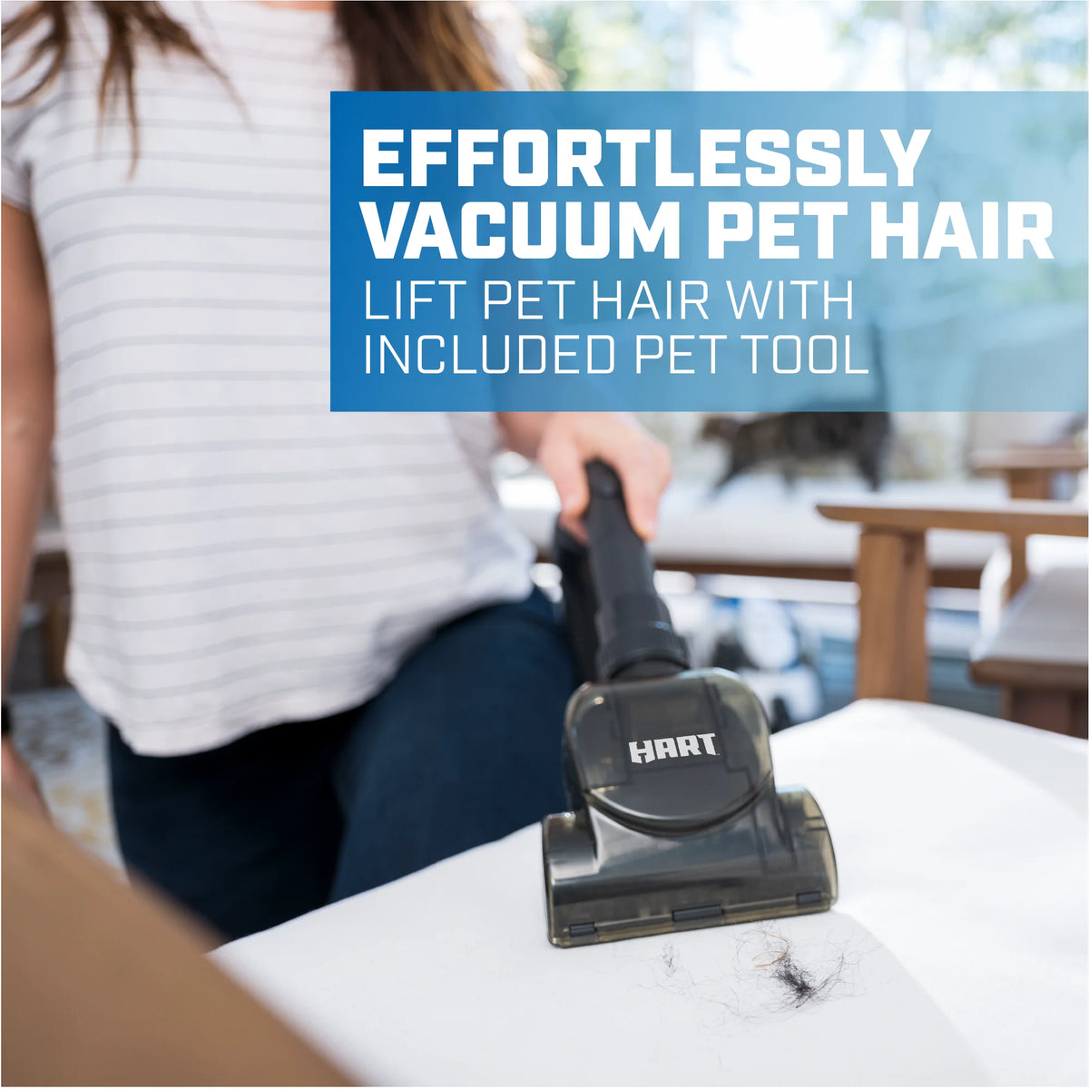 Bagless Canister Vacuum B705490