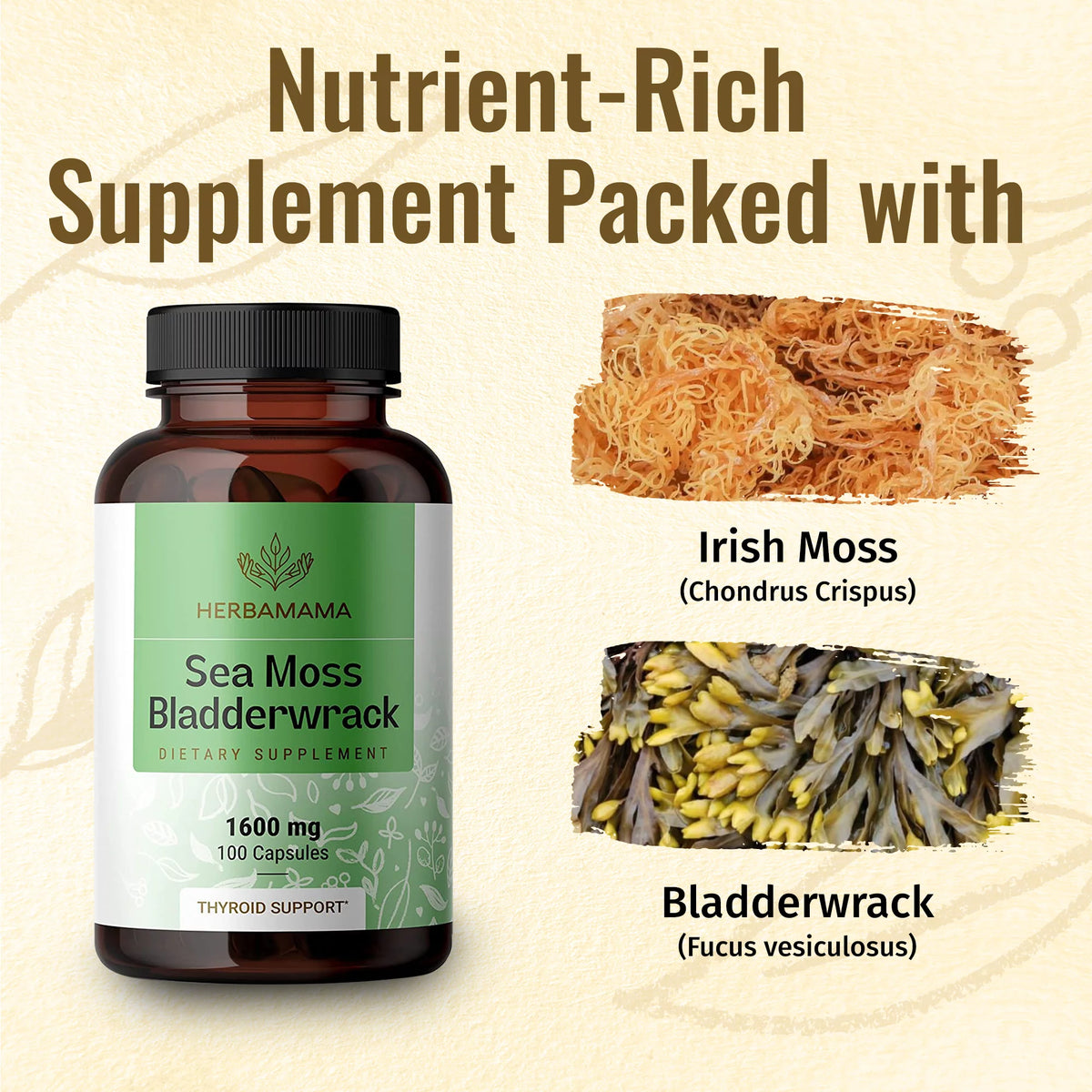 Sea Moss & Bladderwrack Capsules 250 Caps B16804