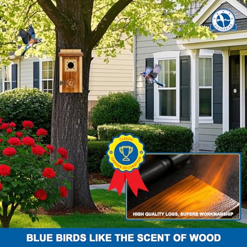 2 Pack Cedar Bird House with Copper Guard S4822