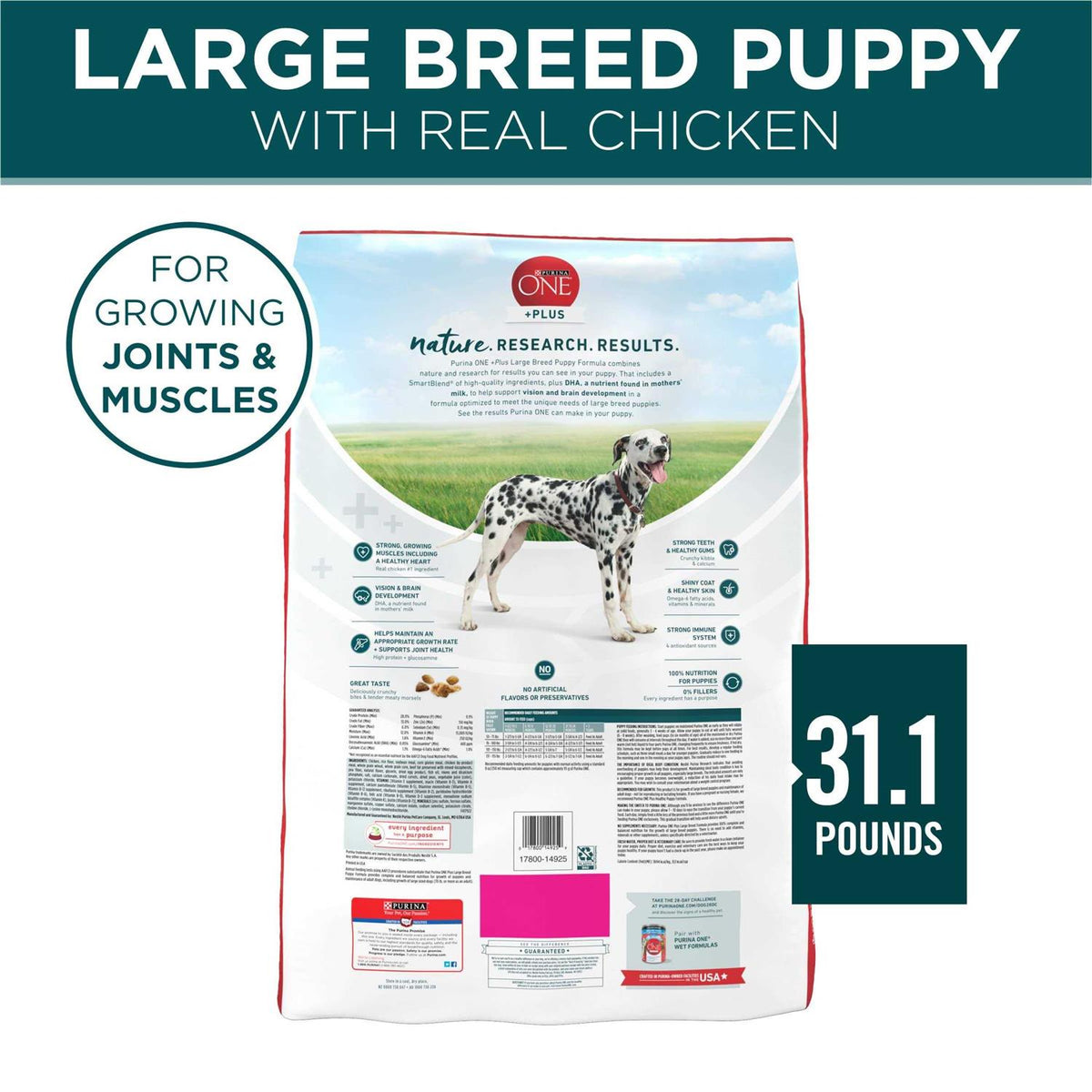 Large Breed Puppy Formula Dry Dog Food T55436