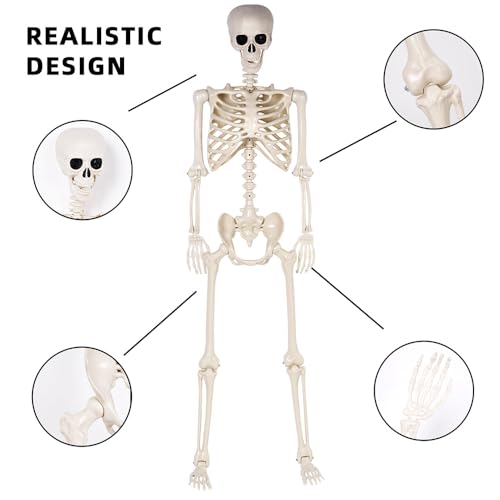 Life Size Posable Skeletons Halloween Decorations U96624