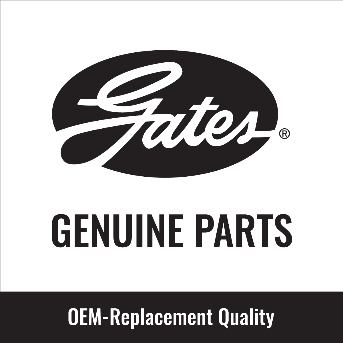 Timing Belt Component Kit N511