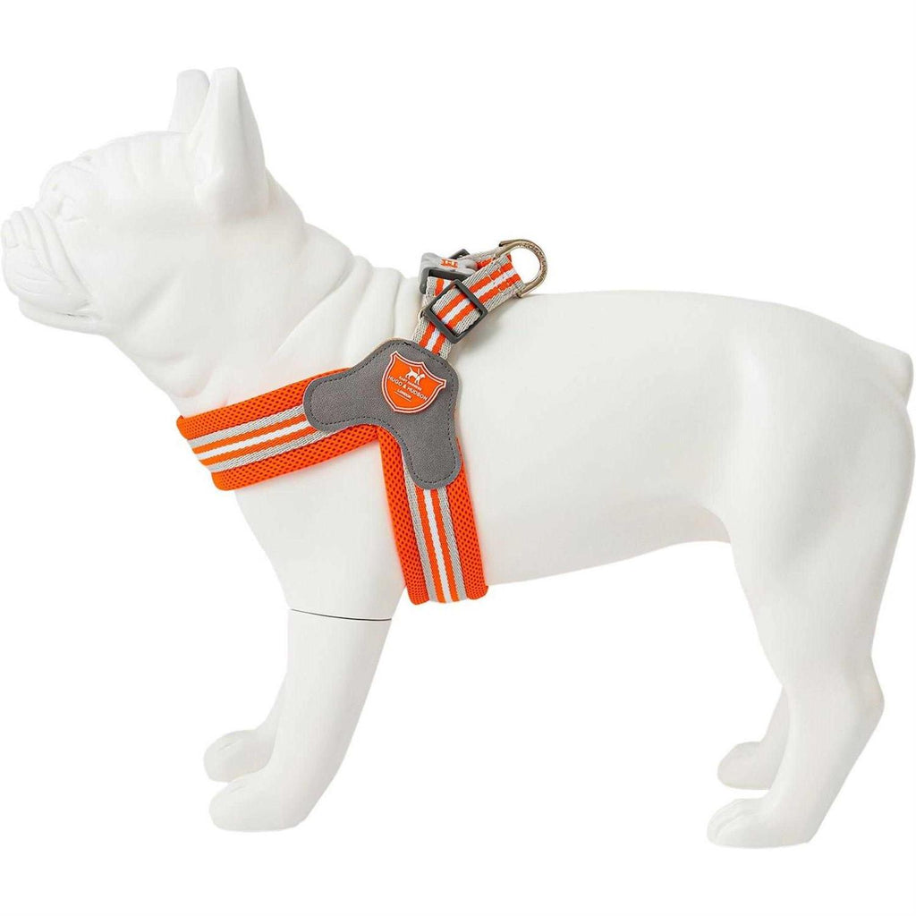 Dog Harness C982627