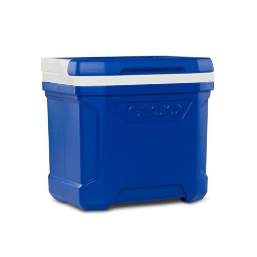 16 Qt Blue Insulated Lunch Cooler S166448