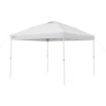 10' x 10' Straight Leg Canopy X752