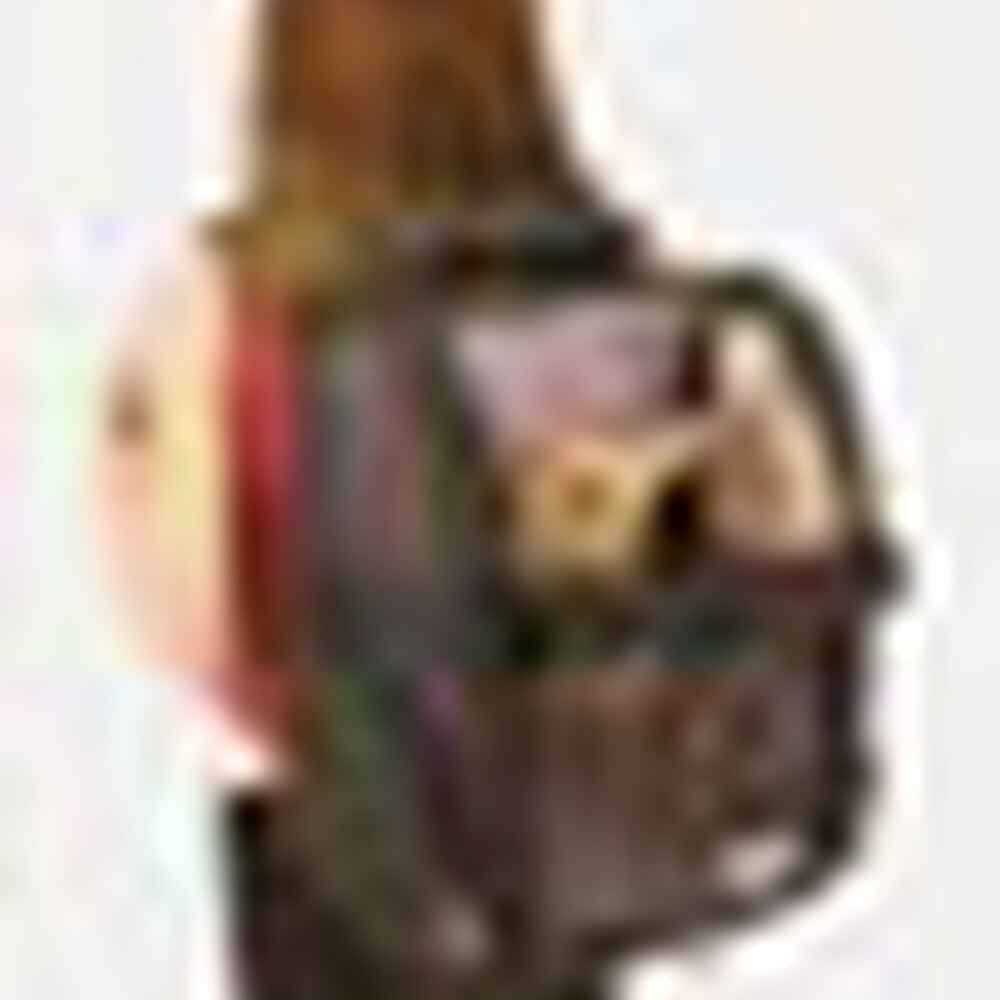 Travel Pet Carrier J1668