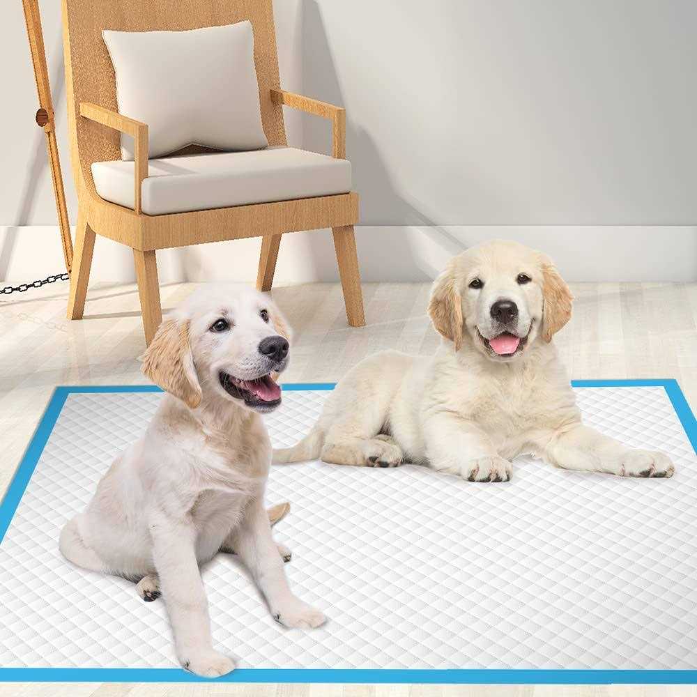 Extra Large Dog Pee Pads Super Absorbent & Leak-Proof Y837