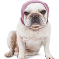 Dog Ear Cover for Bathing and Grooming G4159