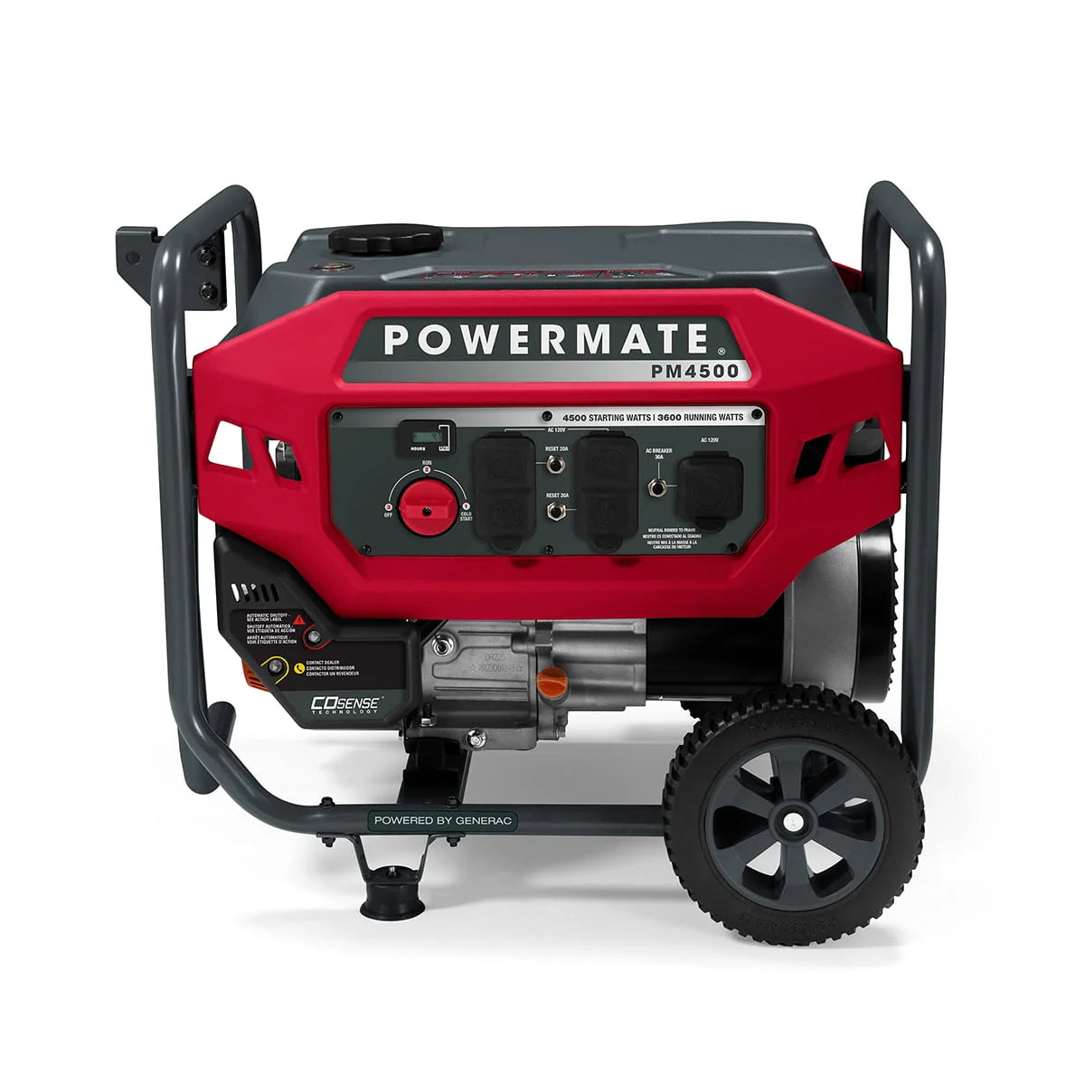 4500 Watt Gas Powered Portable Generator L666529