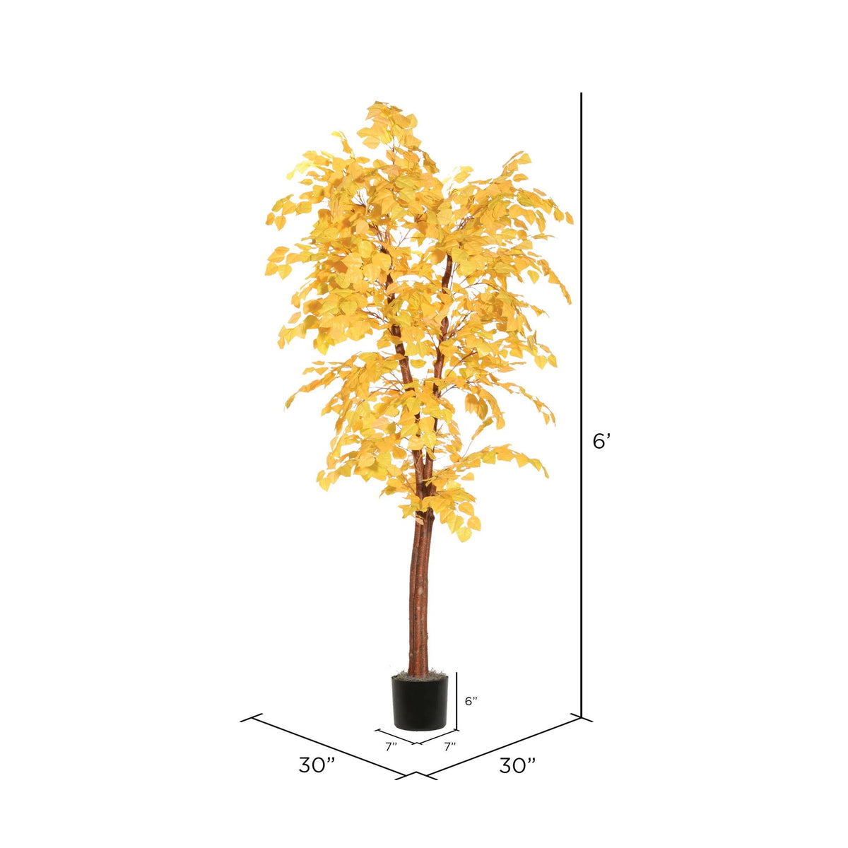 6& Golden Aspen Deluxe Y763