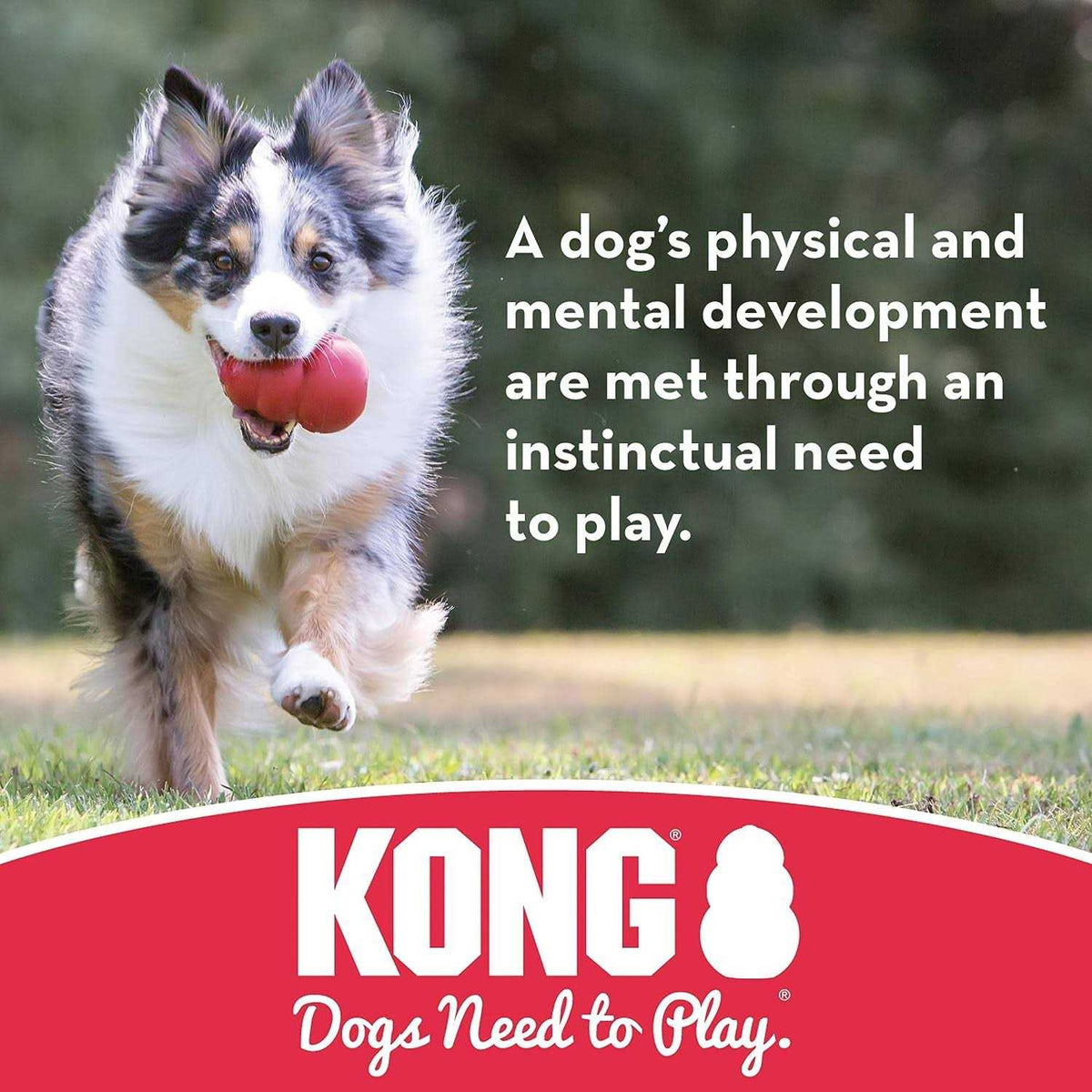 Dog Toy Ball D899