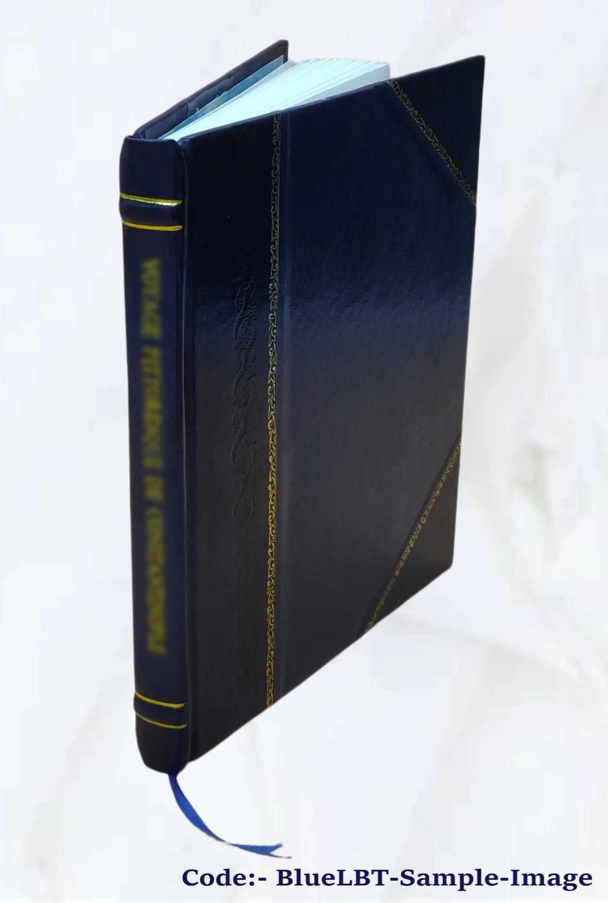 Internationale compte-rendu des débats Chambre de police correctionnelle de Toulouse 38 prévenus Leather Bound I3415