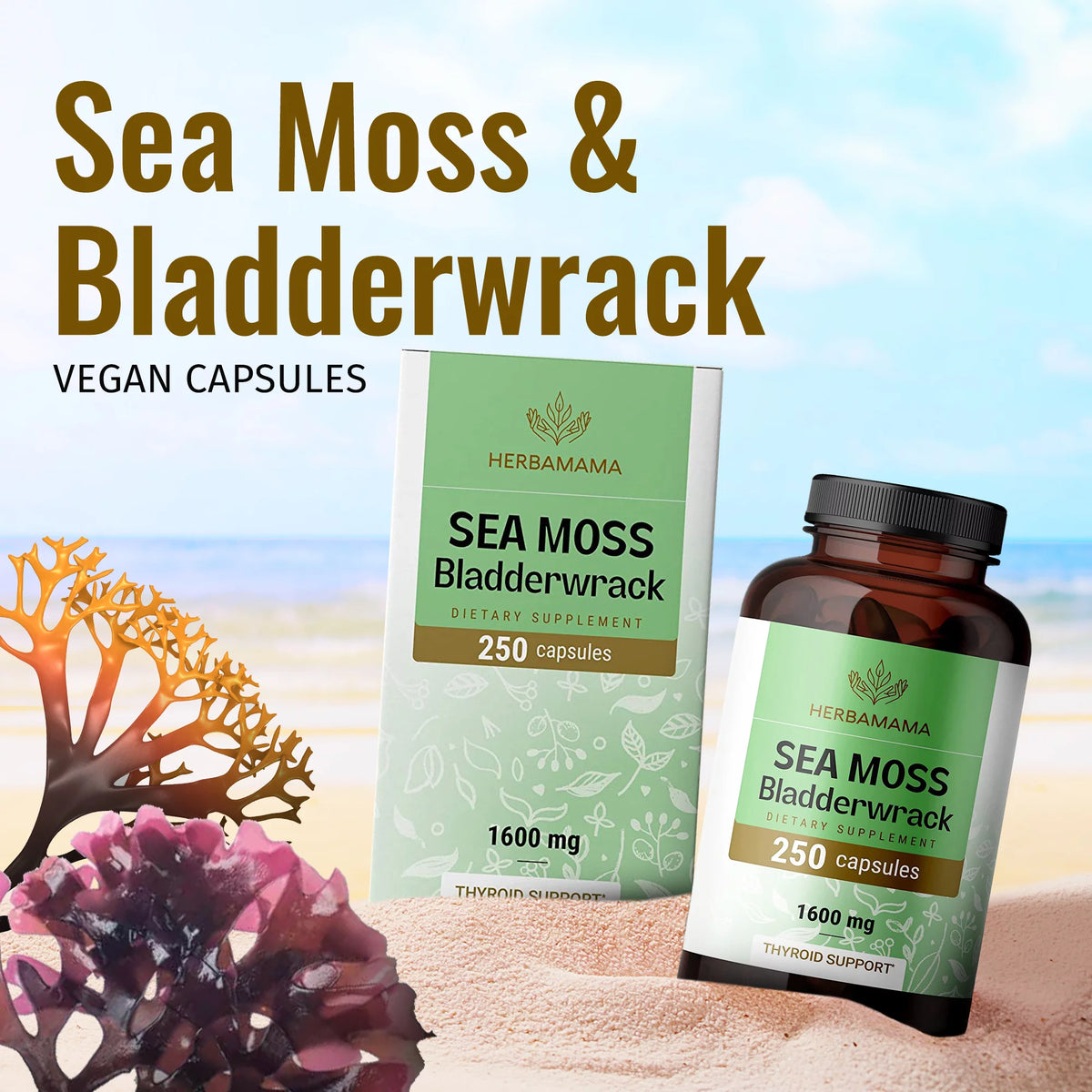 Sea Moss & Bladderwrack Capsules 250 Caps B16804