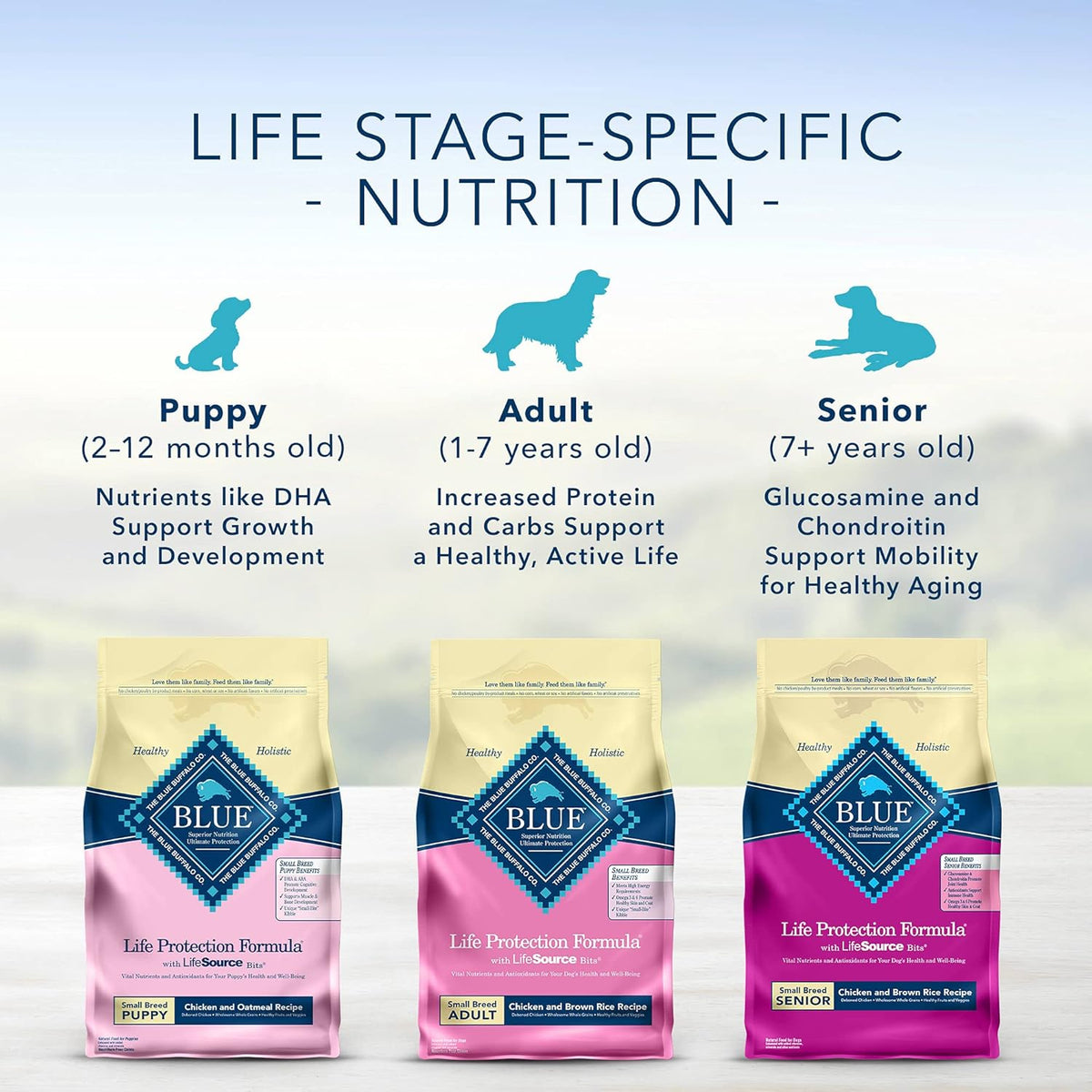Natural Senior Small Breed Dry Dog Food, Chicken and Brown Rice 6-lb N908