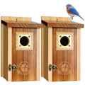 2 Pack Cedar Bird House with Copper Guard S4822