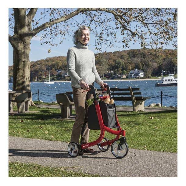 3-Wheel Rollator Rolling Walker L980783