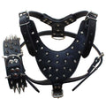 Leather Spiked Studded Dog Collars Harnesses Matching Set M6803