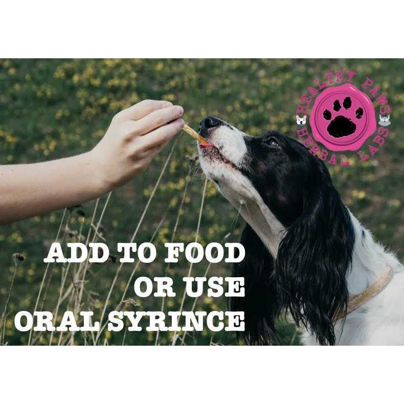 Liquid Supplement for Dog Yeast & Fungus E88755