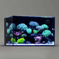 26.23 Gallon Rimless Low Iron Glass Aquarium Tank with Rear Filtration I63259