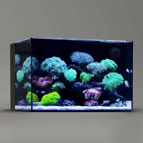 26.23 Gallon Rimless Low Iron Glass Aquarium Tank with Rear Filtration I63259