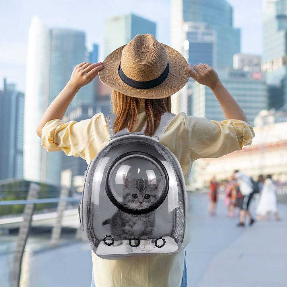 Grey Pet Travel Carrier Backpack W91107