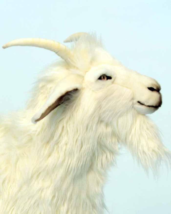 Stuffed Cashmere Goat Z393973