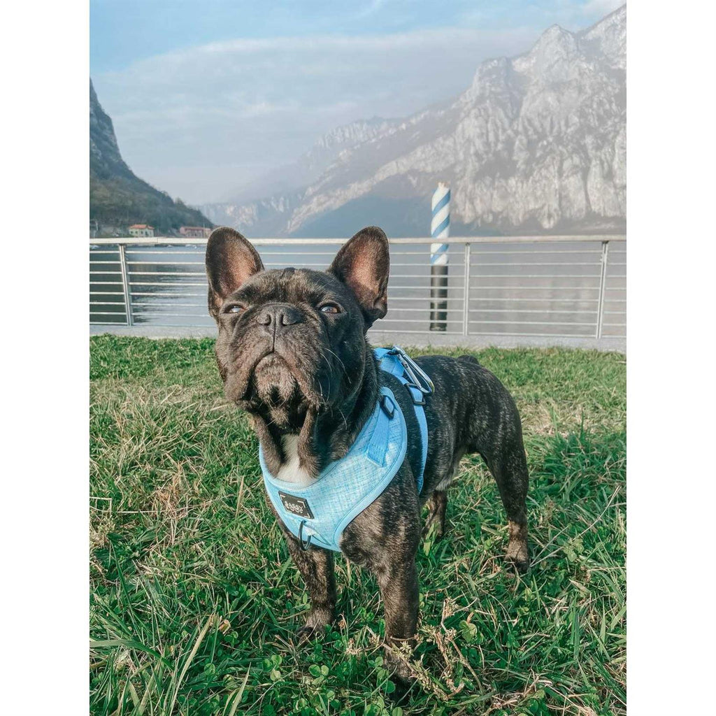 Adjustable Harness R269