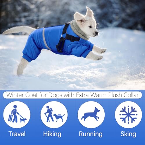 Black Dog Winter Jacket with Harness P221