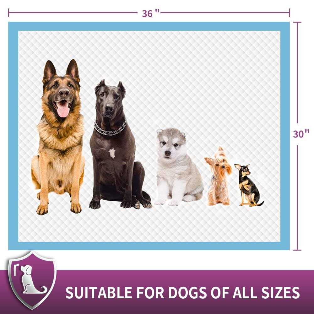Extra Large Dog Pee Pads Super Absorbent & Leak-Proof Y837