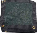 70% Sunblock Dark Green Plant Cover 20' x 24' D939322