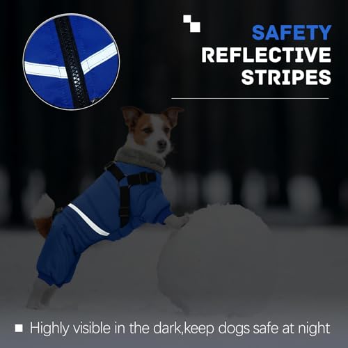Black Dog Winter Jacket with Harness P221