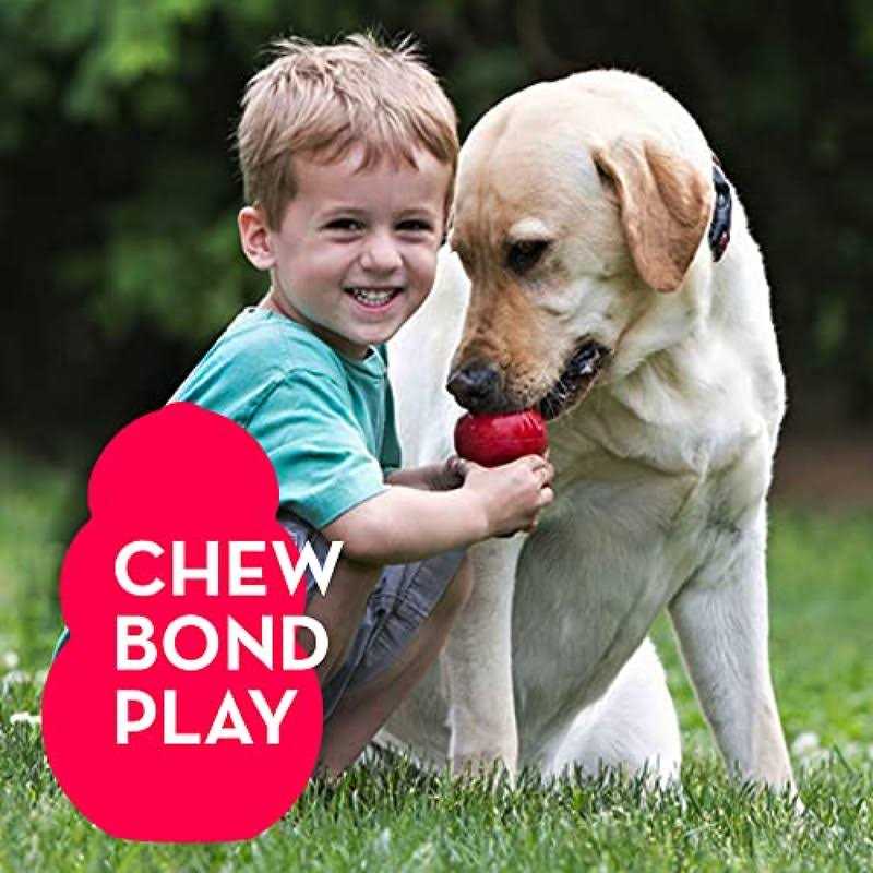 21 Pack Small Dog Chew Toys with Rope Toys R453350