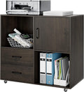 Dark Brown 2 Drawer Mobile Wood File Cabinet W62966