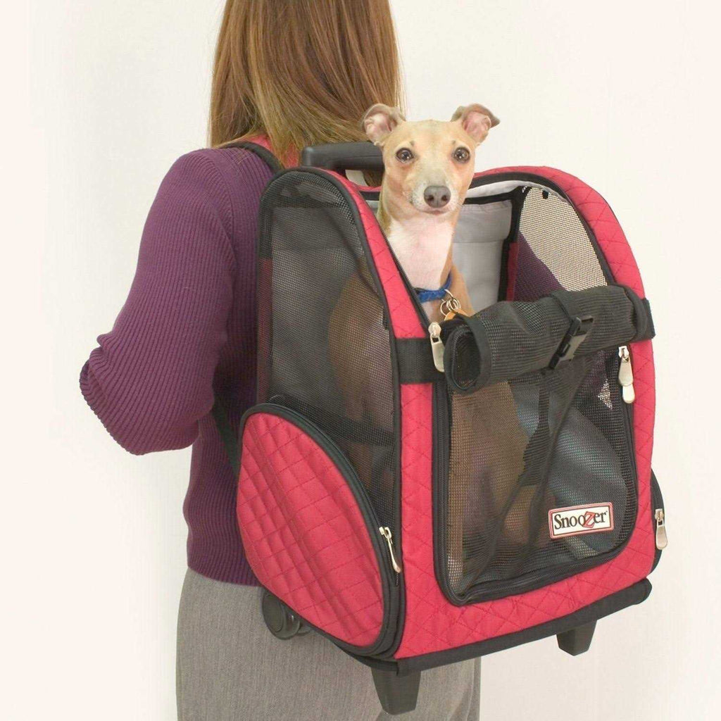 Travel Pet Carrier J1668