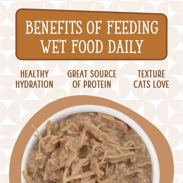 Cat Food V2241
