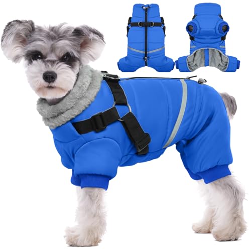 Black Dog Winter Jacket with Harness P221